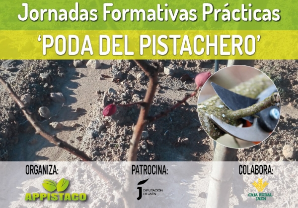 Jornadas Formativas Prácticas 'Poda del Pistachero'