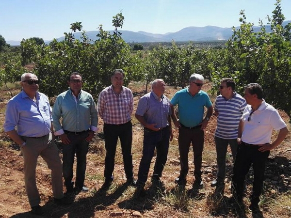 Visita de la Junta de Andalucía a la plantación experimental de Navas de San Juan